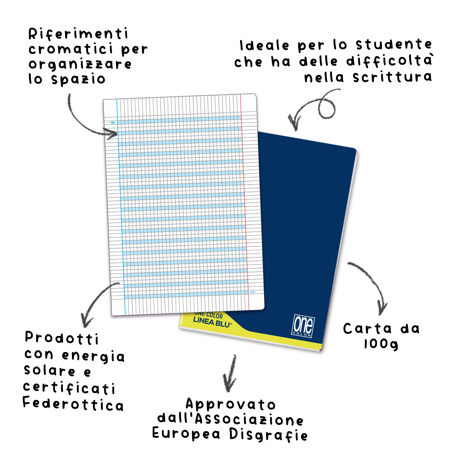 2 lineablu info copia